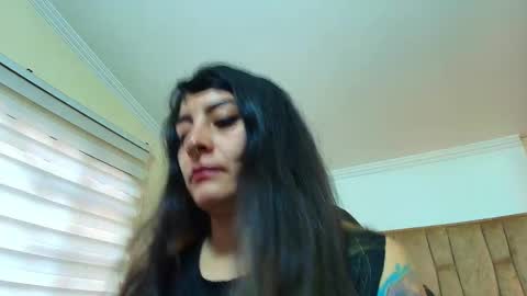 Kitten online show from 03-02-26, 11:39