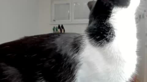 naughtysabine1 online show from 02-06-25, 09:53