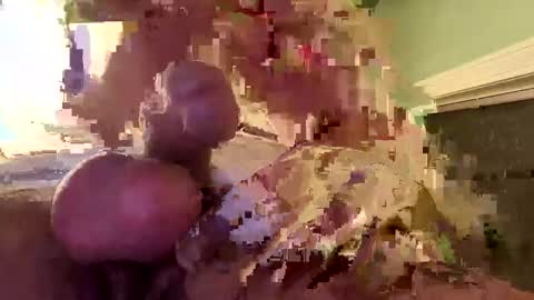 ndsckd online show from 12-16-24, 10:50