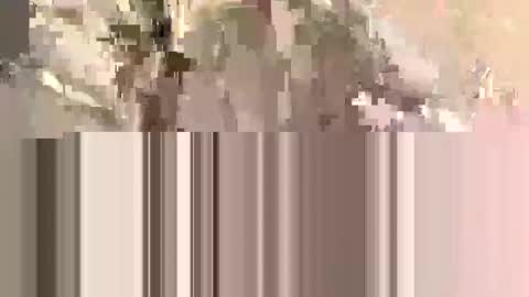 ndsckd online show from 09-12-25, 11:54