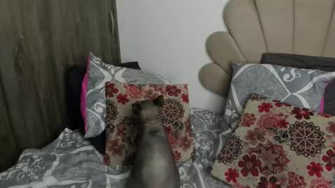 Nei turn green online show from 11-11-25, 01:16