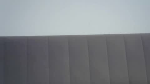 nelly_fortu online show from 02-04-26, 11:38