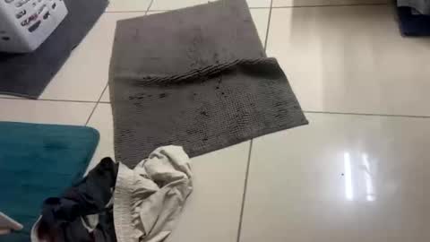 nesquick741960 online show from 12-22-25, 12:02