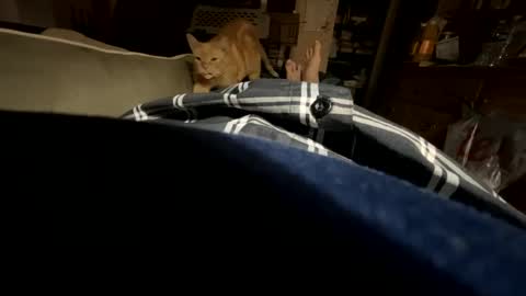 ngianop online show from 10-23-25, 07:40