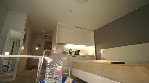 Nica online show from 12-04-24, 11:35