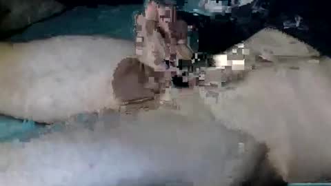 Nick online show from 10-12-25, 11:20