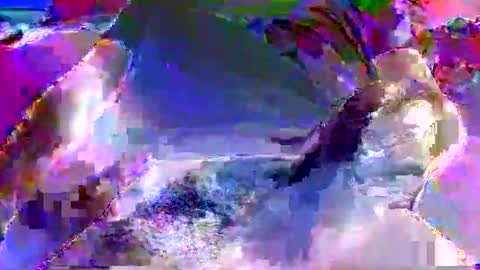 Nickyfruit online show from 10-08-25, 08:56