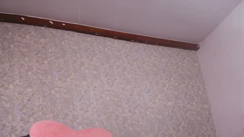 Nicol online show from 12-21-24, 07:49