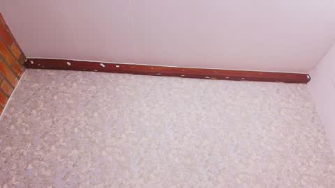 Nicol online show from 12-28-24, 07:22