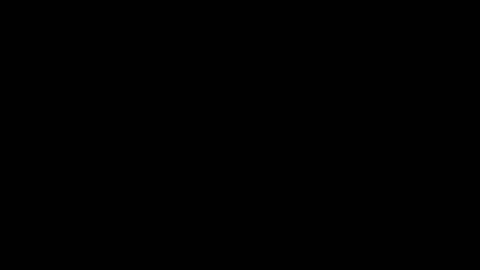 Nicole online show from 09-11-25, 11:43