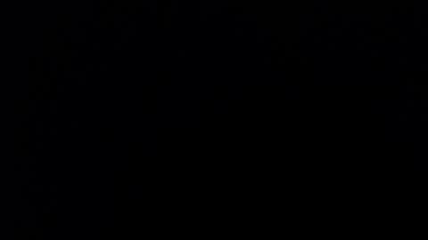 Nicole online show from 09-29-25, 06:57