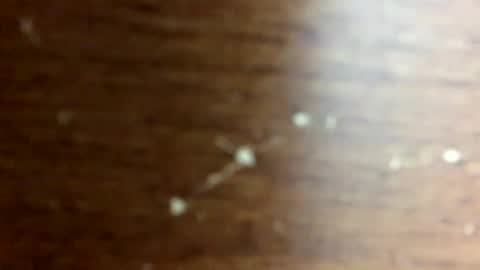 Snapshot of nightmoves1970 chatting on 10-14-25, 02:45 nightmoves1970 online show from 10-14-25, 02:45