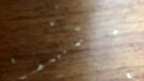 Snapshot of nightmoves1970 chatting on 11-20-25, 02:34 nightmoves1970 online show from 11-20-25, 02:34