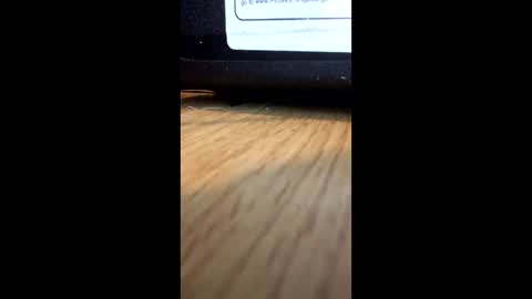 Snapshot of nightmoves1970 chatting on 12-02-25, 01:00 nightmoves1970 online show from 12-02-25, 01:00