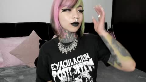 Nikki Ramone   online show from 01-23-25, 11:48