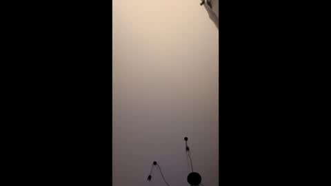 neighbours online show from 01-16-26, 12:14