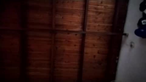 nimapolo online show from 11-09-25, 10:30