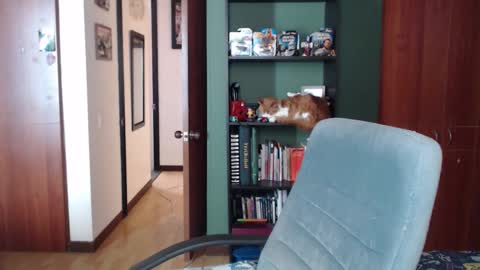 Nina Moon online show from 12-03-25, 08:07