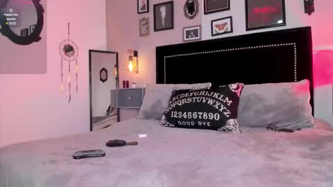 Alisson online show from 02-08-26, 08:01