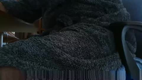 nineinchhard online show from 03-04-25, 08:02