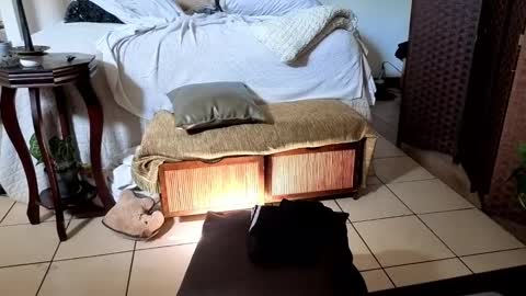 Snapshot of nobudget06 chatting on 02-16-25, 04:42 nobudget06 online show from 02-16-25, 04:42