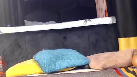 Snapshot of noircandy chatting on 12-16-24, 10:03 Noir Thats My Name Call Me Bablicious online show from 12-16-24, 10:03