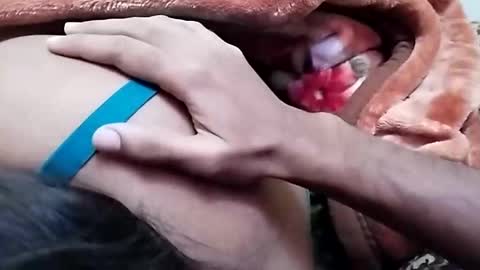 Snapshot of nooby942461 chatting on 12-26-24, 06:52 sim nib online show from 12-26-24, 06:52