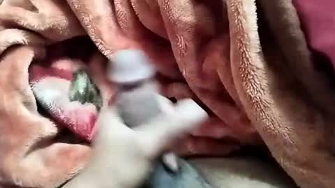 Snapshot of nooby942461 chatting on 12-28-24, 05:44 sim nib online show from 12-28-24, 05:44