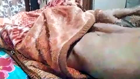 Snapshot of nooby942461 chatting on 03-01-25, 05:31 sim nib online show from 03-01-25, 05:31