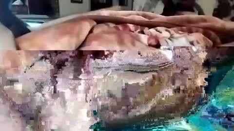 Snapshot of nooby942461 chatting on 03-01-25, 10:31 sim nib online show from 03-01-25, 10:31