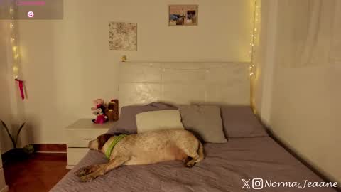 Snapshot of norma_jeaane chatting on 10-04-25, 08:29 Norma Jeaane online show from 10-04-25, 08:29