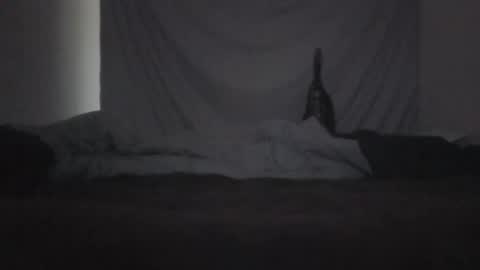 norty450 online show from 02-10-26, 03:21