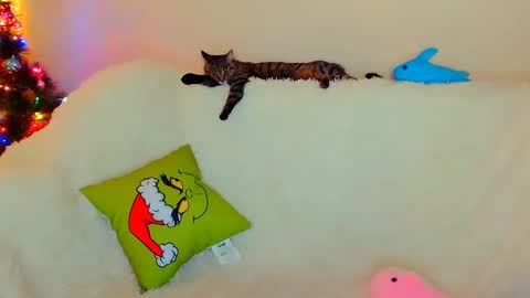 hi glad to chat online show from 12-26-24, 07:56