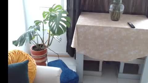 novaperotti online show from 11-05-25, 06:41