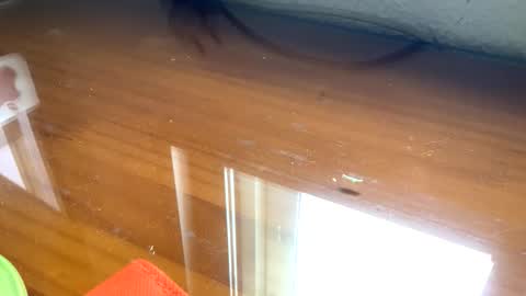 nudistadepilado online show from 09-13-25, 10:04