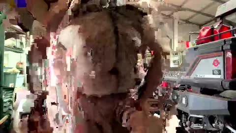 Snapshot of odang_13 chatting on 02-21-26, 10:55 odang_13 online show from 02-21-26, 10:55