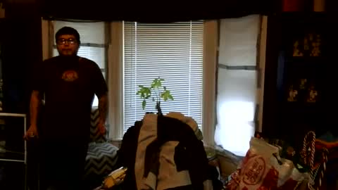 oscar flores online show from 03-01-26, 01:02