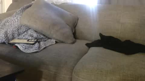 OGDigBick online show from 11-04-25, 02:16