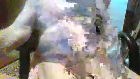 William online show from 12-14-25, 09:19