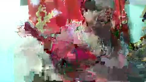 olgaaldy online show from 11-20-25, 08:03