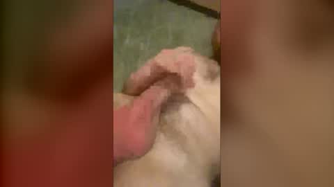 olijames6891 online show from 12-21-25, 07:48