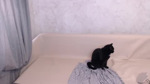 Olivia online show from 10-05-25, 11:41