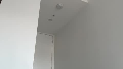 Olivia Brookes online show from 10-26-25, 10:04