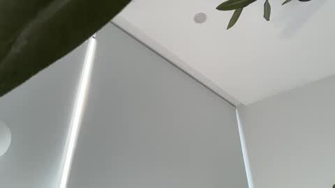 Olivia Brookes online show from 11-30-25, 09:19