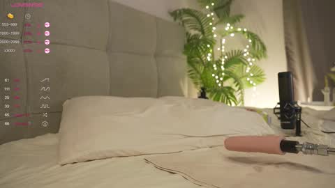 Lily dont forget to follow me  good to see you all online show from 03-01-25, 06:21