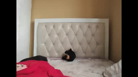 olwami4 online show from 02-22-26, 06:57