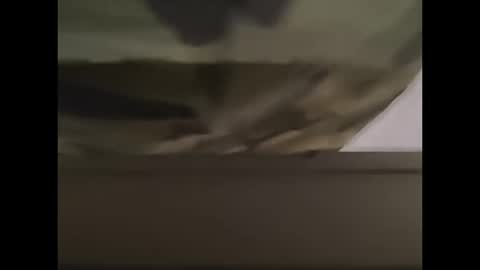 oneeyesnake1843142 online show from 10-12-25, 01:21