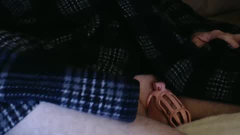 Butch online show from 12-04-24, 11:57