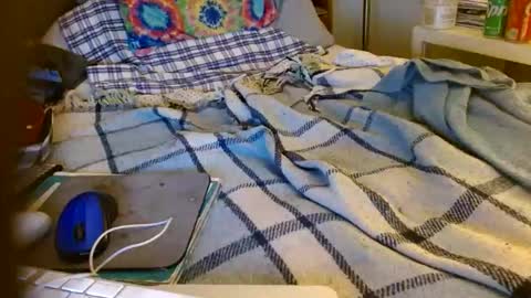 Mattu online show from 11-11-25, 07:41