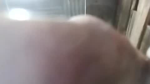 Snapshot of onesevensix04286681 chatting on 02-28-26, 05:30 1760fourtwo86681 online show from 02-28-26, 05:30